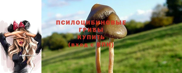 дживик Алзамай
