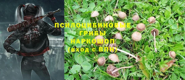 СК Абдулино