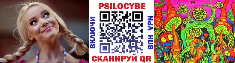 магазин  наркотиков  Пенза  площадка наркотические препараты  Псилоцибиновые грибы прущие грибы  kraken tor 