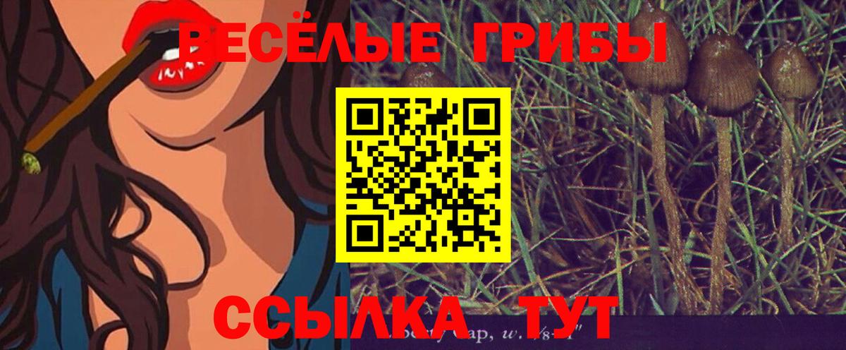 Пенза  Галлюциногенные грибы Psilocybe  Вход с VPN 